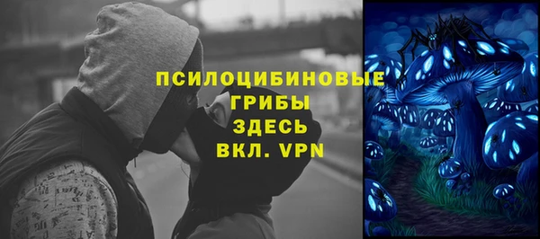 Альфа ПВП Горнозаводск