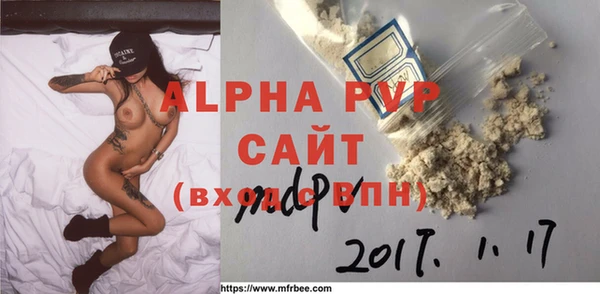 сатива Горняк