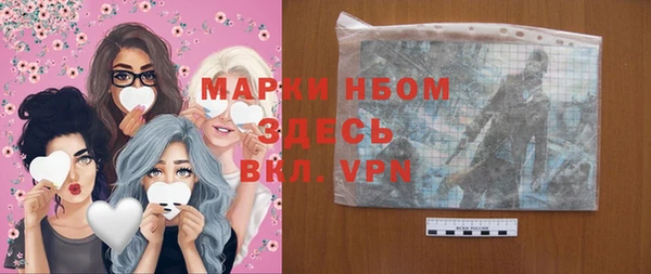 сатива Горняк