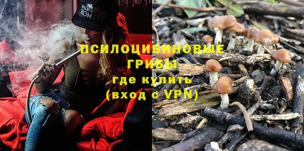 Альфа ПВП Горнозаводск