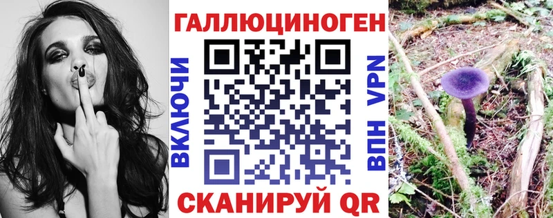 Псилоцибиновые грибы прущие грибы  Находка 